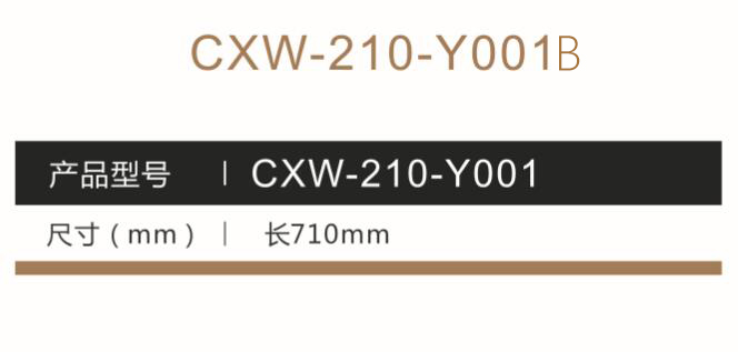 CXW-210-Y001B..jpg